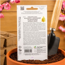 Семена цветов  Катарантус амп. Медитерранен, абрикосовый, 7 шт