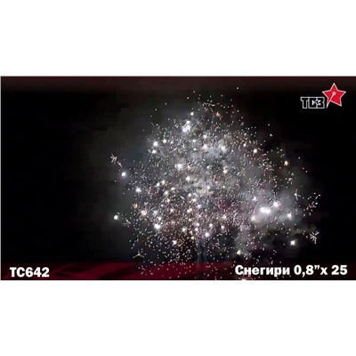 Фейерверк РС6390 Снегири (0,8" х 25)