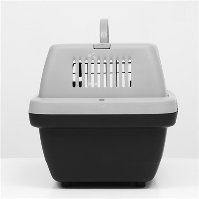 Переноска для животных «Неон», 48×32×29.5 см, вес до 12 кг, пластик, серая, чёрная