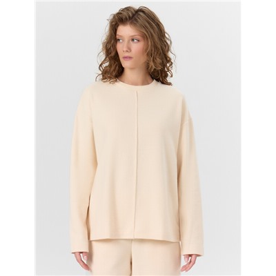 КОМПЛЕКТ ЖЕНСКИЙ (ДЖЕМПЕР, БРЮКИ) 192019-1