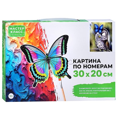 Набор для рисования "Картина по номерам 30х20 см. Совушка"