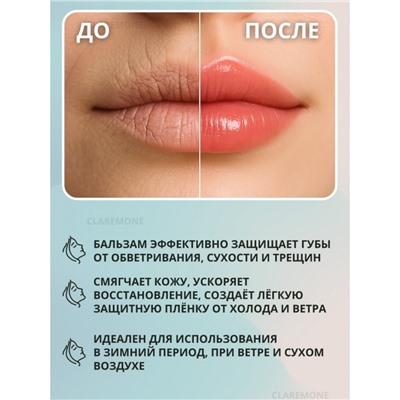 Бальзам для губ набор 8 шт TWG