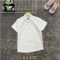 рубашка 1983810-2