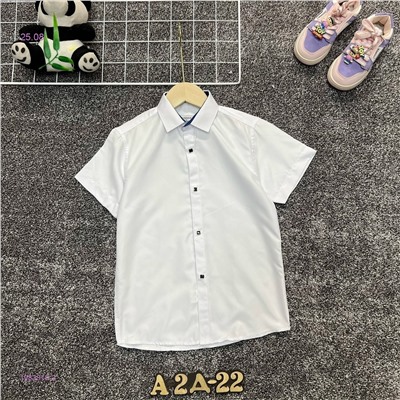 рубашка 1983810-2