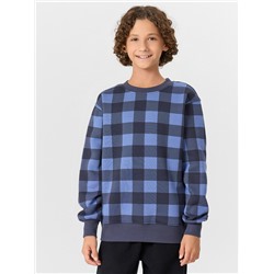 СВИТШОТ ДЛЯ МАЛЬЧИКОВ 123431/1