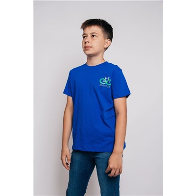 Футболка для мальчика 52319