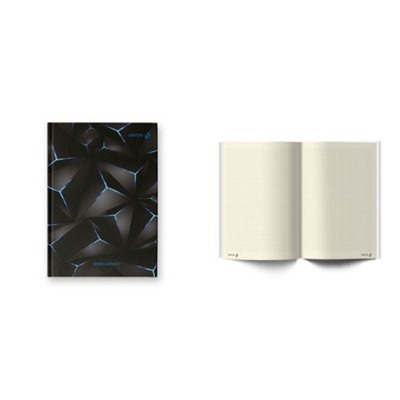 Бизнес-блокнот А5  64л клетка французская "Графика" 01670 (ББ247) SVETOCH