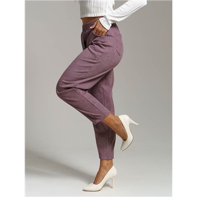 Текс-плюс Брюки НФ-00024827