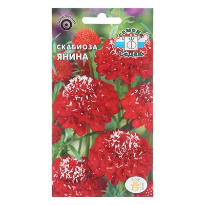 Семена цветов скабиоза« Янина», Евро, 0.1 г
