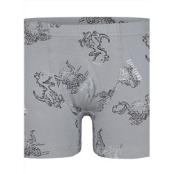 Трусы для мальчика Donella