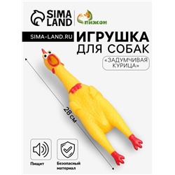 Игрушка пищащая «Задумчивая курица» для собак, 28 см, жёлтая