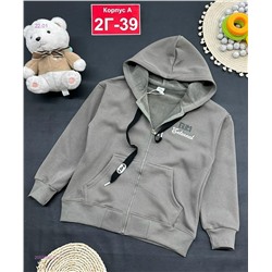 кофта с начесом 2055008-3