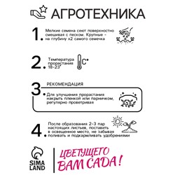 Семена цветов Колокольчик "Рапидо Уайт", 5шт