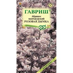 Абрикос манчжурский Розовая дымка (Гавр)