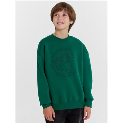 СВИТШОТ ДЛЯ МАЛЬЧИКОВ 123437/1