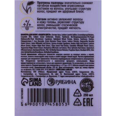 Подарочный набор «Защита цвета»: шампунь 250 мл, бальзам 250 мл, Ural Lab