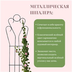 Шпалера, 200×54.5×1 см, металл, зелёная, «Декоративная»