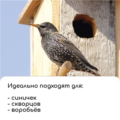 Скворечник, 18 × 13 × 13 см, Greengo