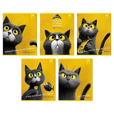 Тетрадь  48л клетка "Пушистый философ" 5 диз., выб.лак. (095072) Хатбер