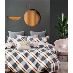 Постельное белье сатин люкс - Дипломат