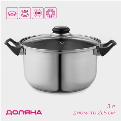 Кастрюля Доляна «Чёрная ночь», 3 л, с крышкой, капсульное дно, нержавеющая сталь