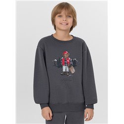 СВИТШОТ ДЛЯ МАЛЬЧИКОВ 123431/1