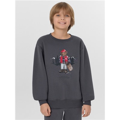 СВИТШОТ ДЛЯ МАЛЬЧИКОВ 123431/1