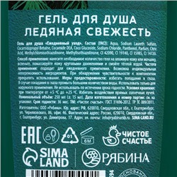 Гель для душа Man energy, 250 мл, аромат свежести, Чистое счастье