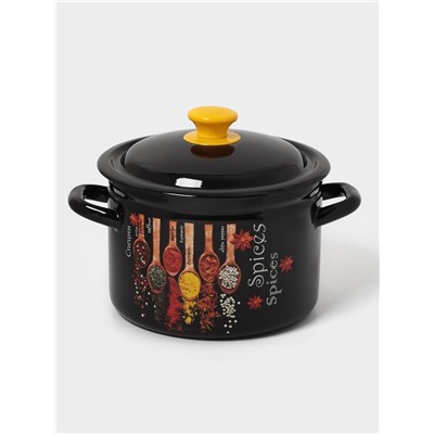Кастрюля эмалированная «Карри», 4 л, d=21.3 см, с крышкой, цилиндрическая, чёрная