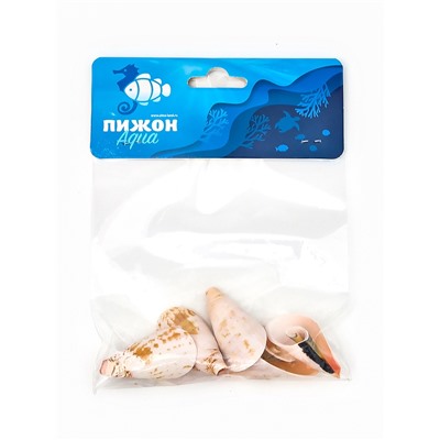 Набор ракушек декоративных, длина 4 см, 5 шт.