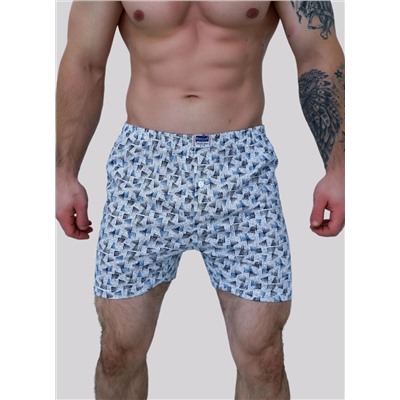 Мужские трусы семейные Berrak