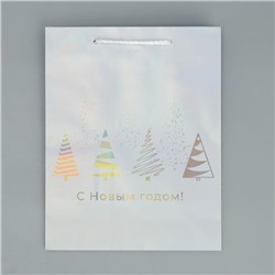 Пакет новогодний подарочный голографический «С Новым годом», 18×23×10 см