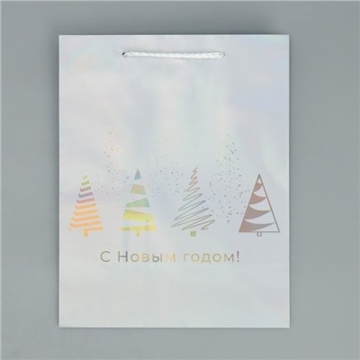 Пакет новогодний подарочный голографический «С Новым годом», 18×23×10 см
