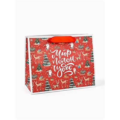 Пакет подарочный новогодний крафтовый, «Мир полон чудес», 23×18×10 см