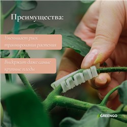Кистедержатель «Улитка», 3.5 см, набор 50 шт., Greengo