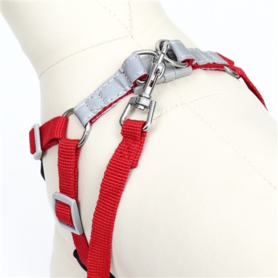 Комплект Sport+, S, поводок 120×1.5 см, ОШ 39-41 см, ОГ 44-48 см, вес животного 7-13 кг, красный