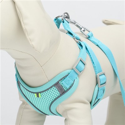 Шлейка с поводком, размер S, ОШ 39-41 ОГ 44-48 с, поводок 140 см, быстросъёмная, мягкая, бирюзовая