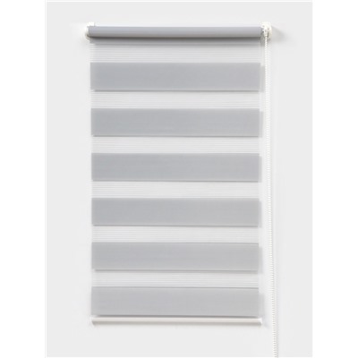 Штора рулонная 50×160 см «День и Ночь», по полотну 46×160 см, цвет стальной