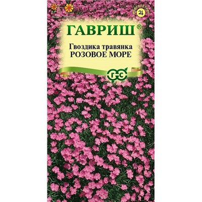 Гвоздика Травянка Розовое море (Код: 92906)