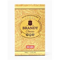 Туалетная вода мужская Brandy Classic, 100 мл