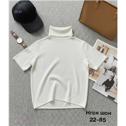 Водолазка 2056192-6