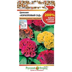 Целозия Коралловый сад (НК)