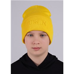 CLEVER Шапка