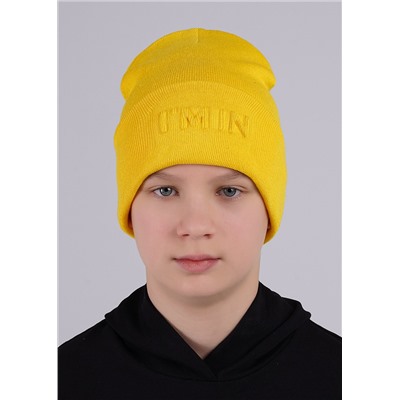 CLEVER Шапка