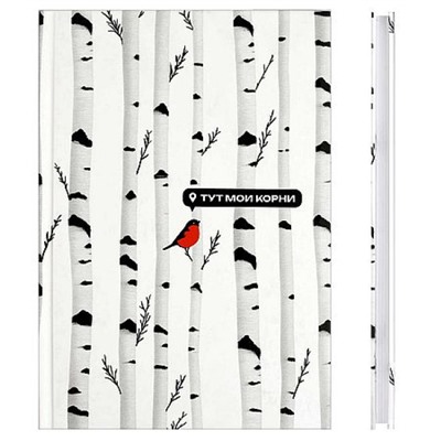 Ежедневник недатированный А5 128 стр. 71554 DIARY "БЕРЕЗА" Феникс