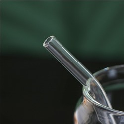 Стакан BellaTenero «Эко», 500 мл, 7.5×15.5 см, с трубочкой, с бамбуковой крышкой, стекло, прозрачный