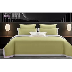 КПБ с ДЖАНКОЙ- БРОНЬ 1984514-2