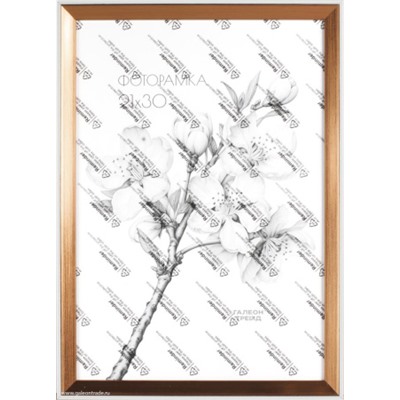 Фоторамка 21х30 с акриловым стеклом /1508D-377X /