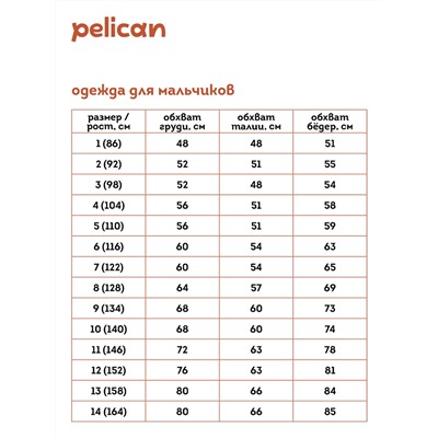 BULB3362(3) (Трусы для мальчика 3 шт., Pelican )
