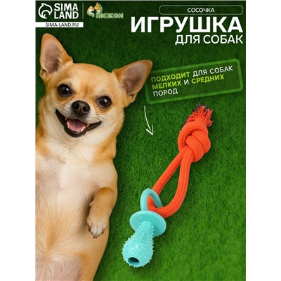 Игрушка жевательная с канатом «Сосочка», до 25 см, оранжевая, голубая